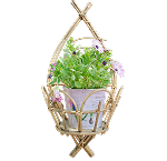 Macrame Wall Hanging Kit